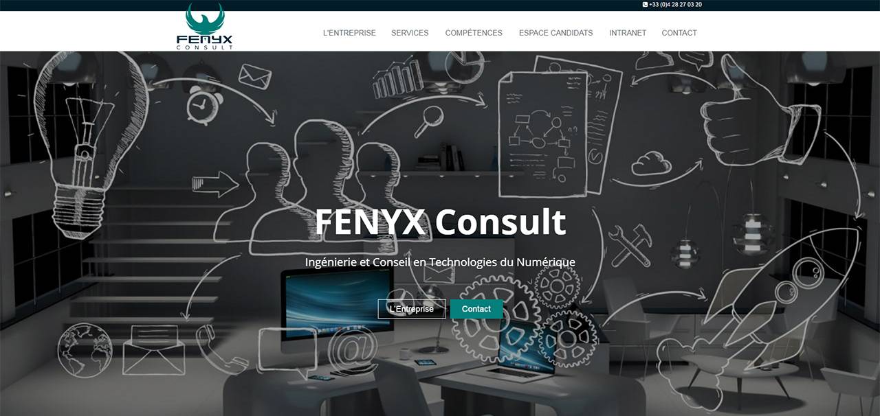 Fenyx consult