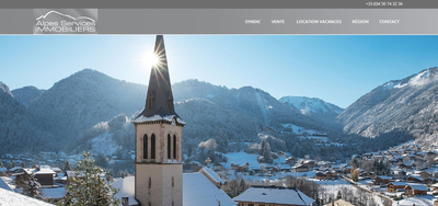 Alpes Services Immobiliers : Votre partenaire immobilier de confiance